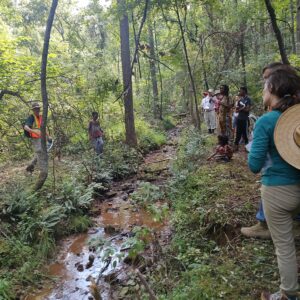 Drainage canal designed and build by enslaved farmers in the 1820s. These canals drained bottom lands making them rich tobacco fields.